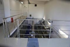 IMG 7519